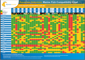 Fish Comparison Chart