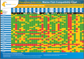 Fish Compatibility Chart