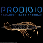 Prodibio - Live Bacteria & Supplements